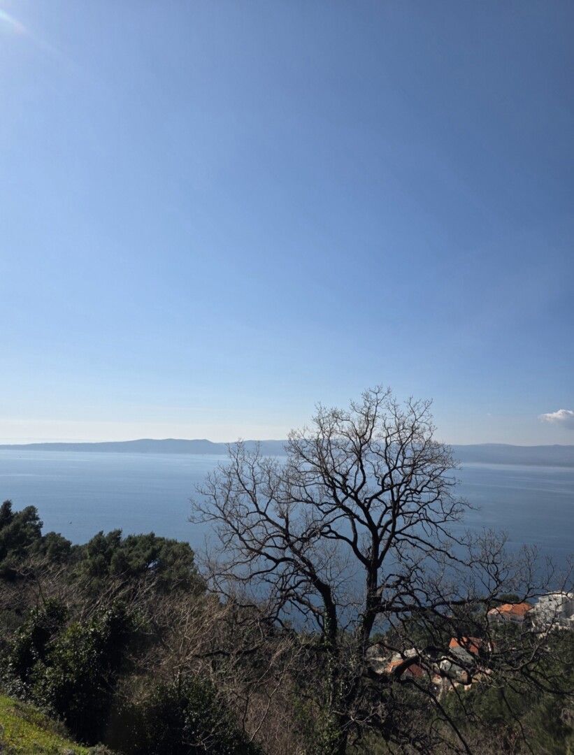 Terrain À vendre - Splitsko-dalmatinska Brela - foto 4/8