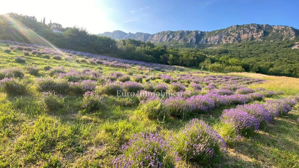 Pozemek Na prodej - PRIMORSKO-GORANSKA VINODOLSKA OPĆINA