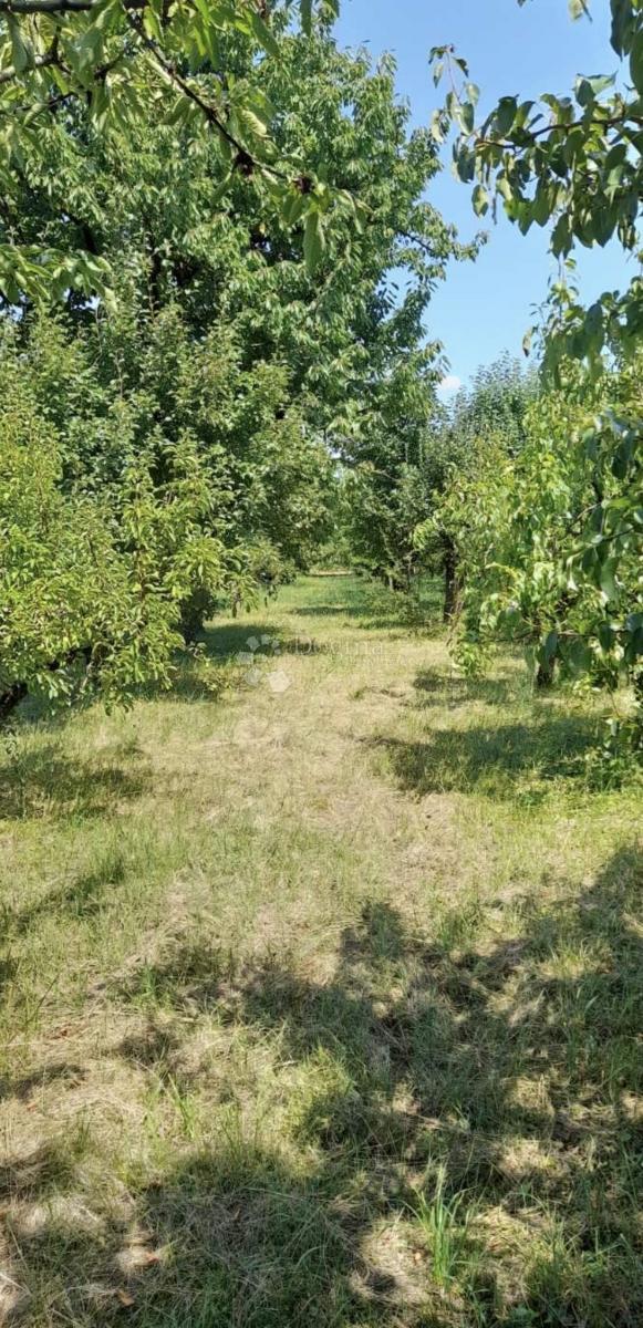 House For sale - OSJEČKO-BARANJSKA NAŠICE