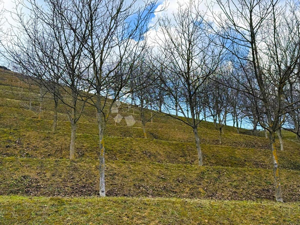 Działka Na sprzedaż - VARAŽDINSKA VINICA