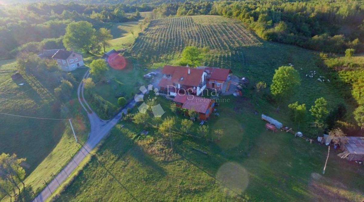 Maison À vendre - KARLOVAČKA RAKOVICA