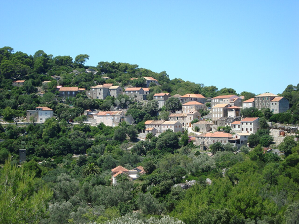 Dom Na predaj MLJET