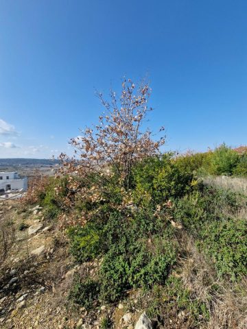 Land For sale - Zadarska Ražanac - foto 5/20
