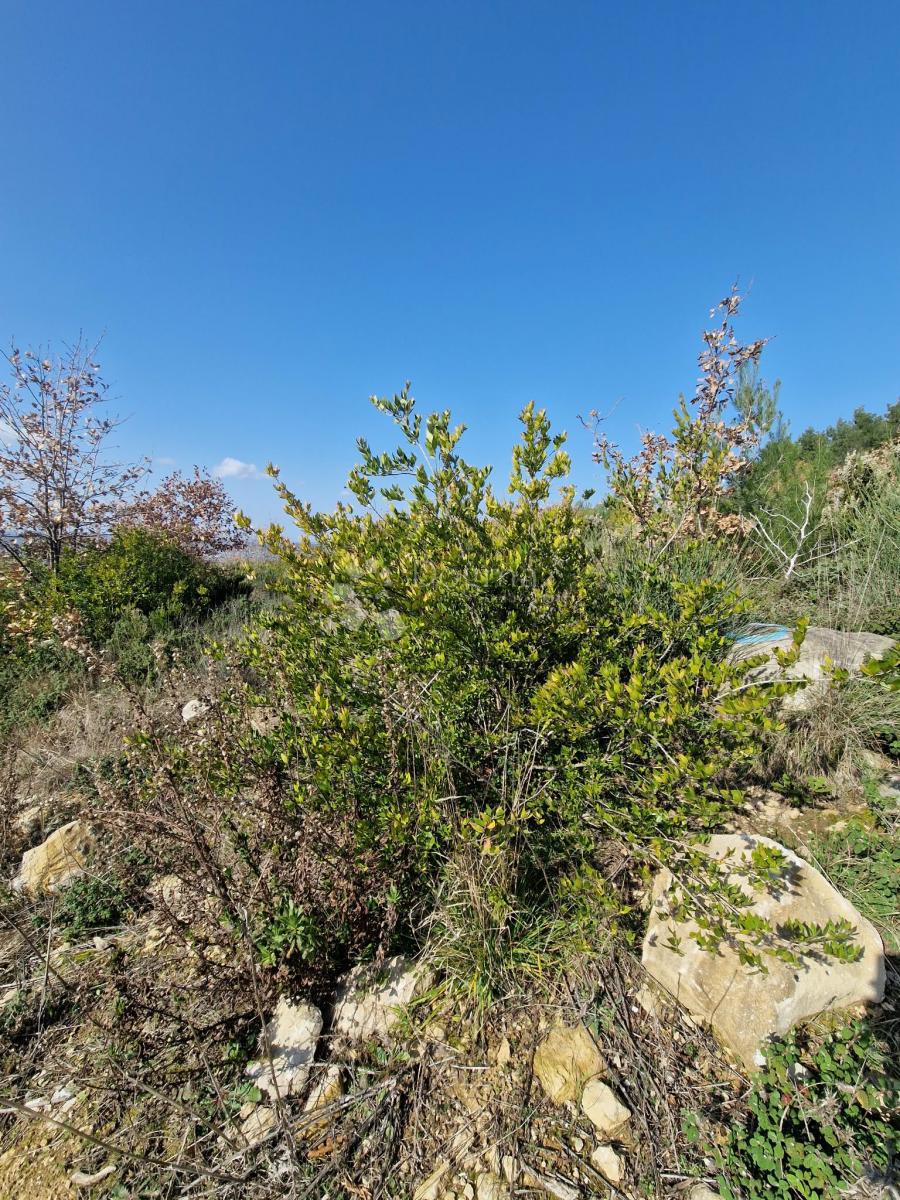 Land For sale - ZADARSKA RAŽANAC