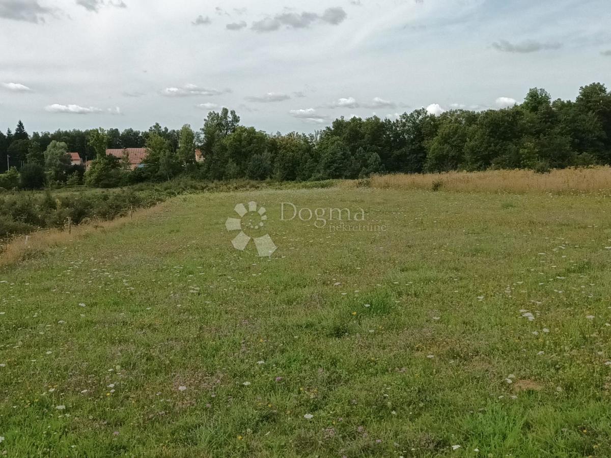 Terrain À vendre - Ličko-senjska Gospić - foto 3/4