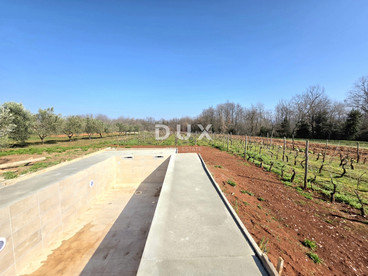 House For rent - ISTARSKA BARBAN