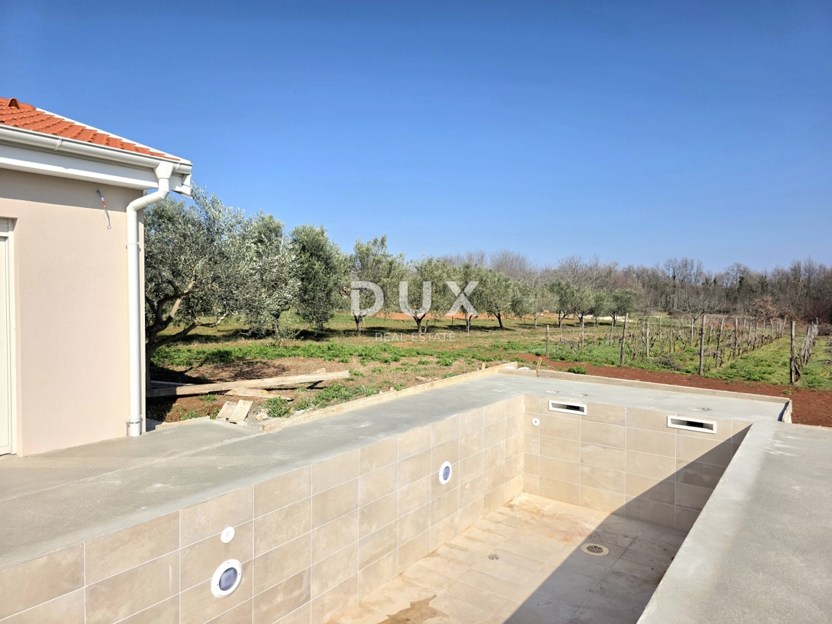 House For rent - ISTARSKA BARBAN