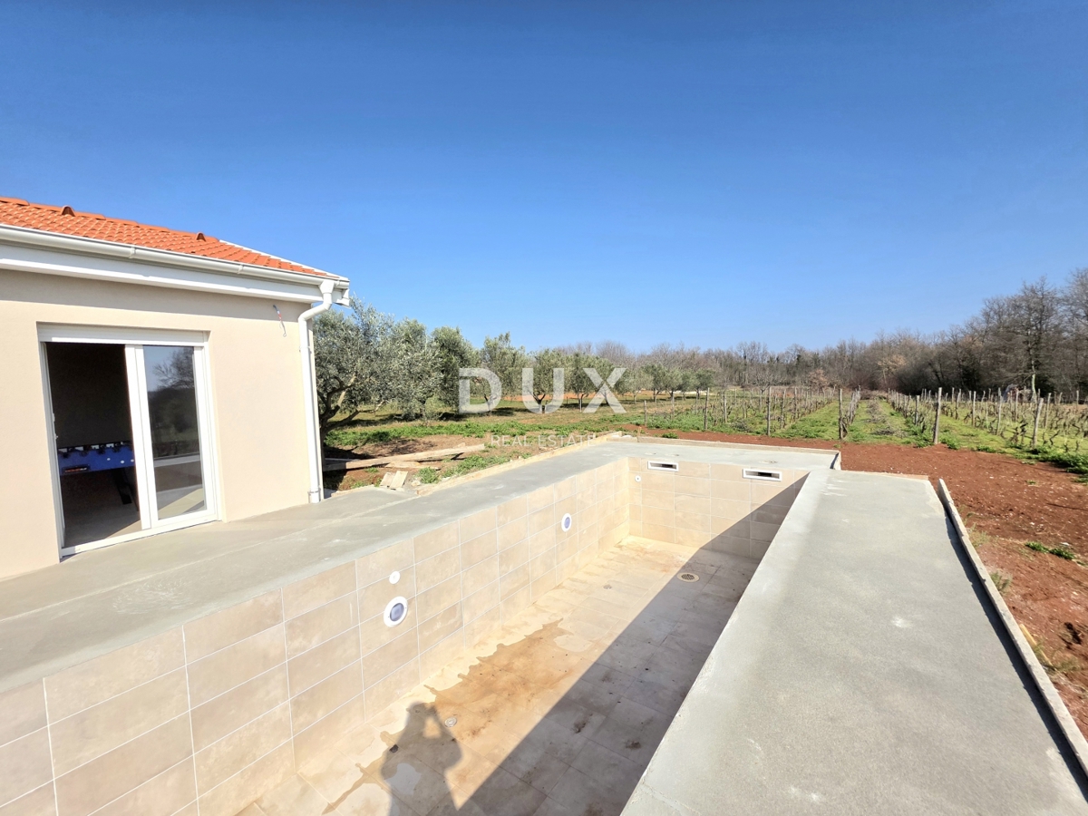 House For rent - ISTARSKA BARBAN
