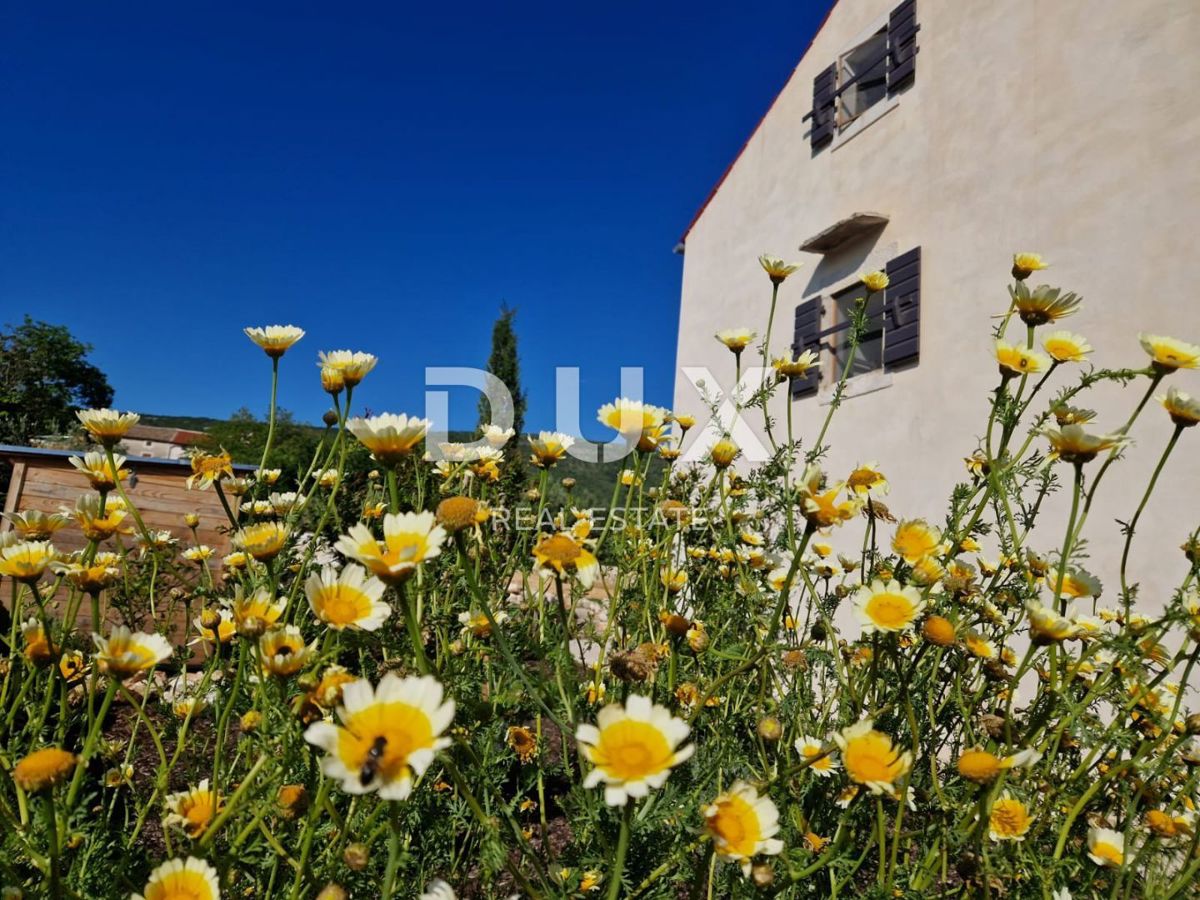 House For sale - ISTARSKA LABIN