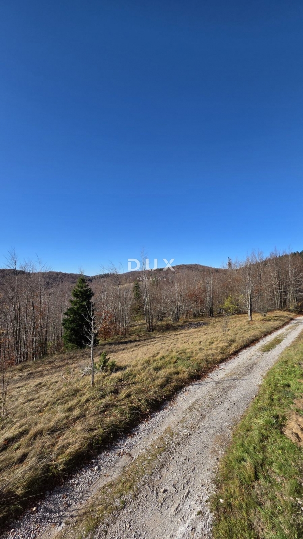 Działka Na sprzedaż - Primorsko-goranska Ravna Gora - foto 3/4