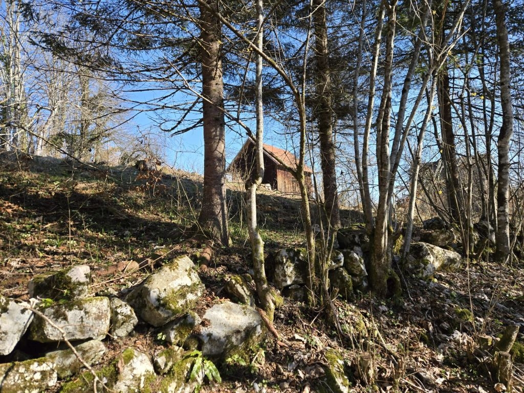 Haus Zu verkaufen BROD MORAVICE