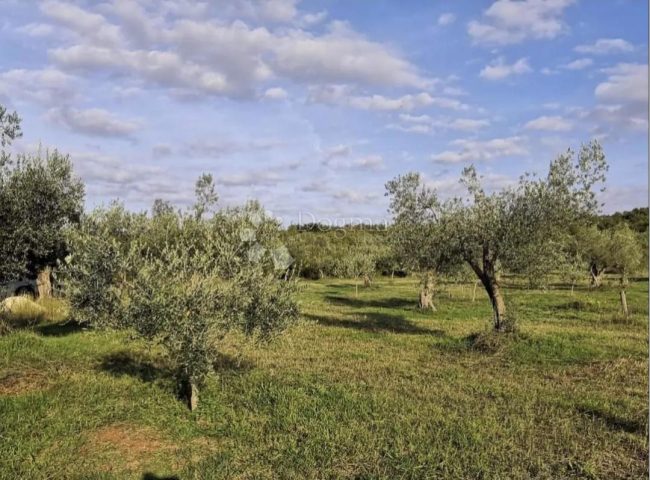 Terrain à vendre 7511 m² – Rovinj