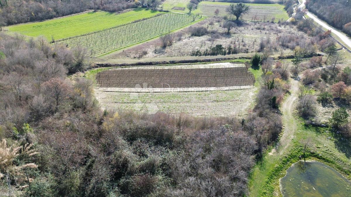 House For sale - ISTARSKA LABIN
