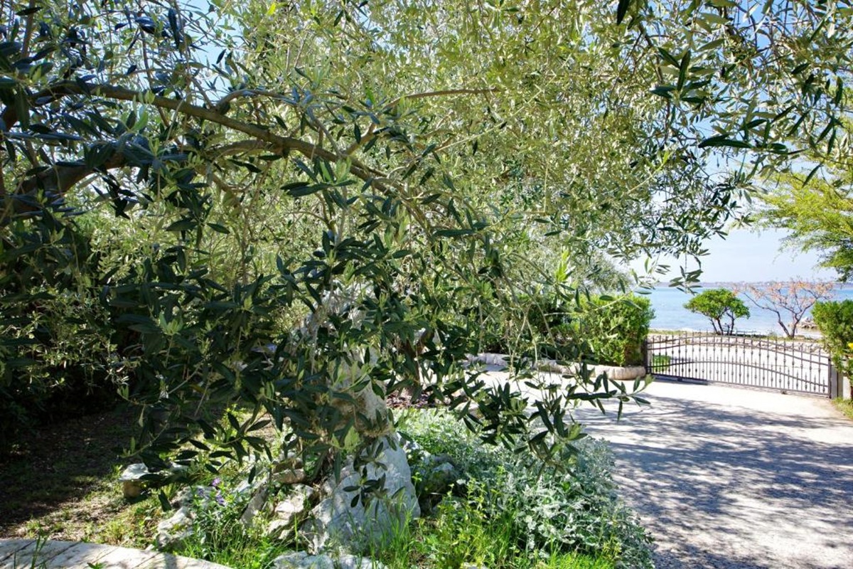 House For sale - ZADARSKA ZADAR