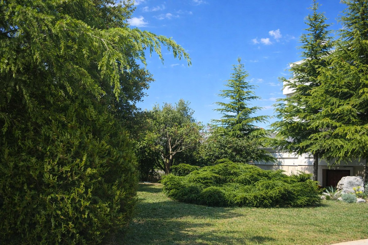 House For sale - Zadarska Zadar - foto 4/19