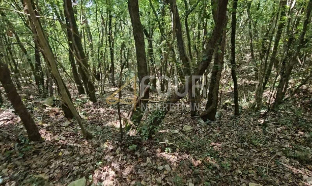 Terrain À vendre - Istarska Marčana - foto 1/2