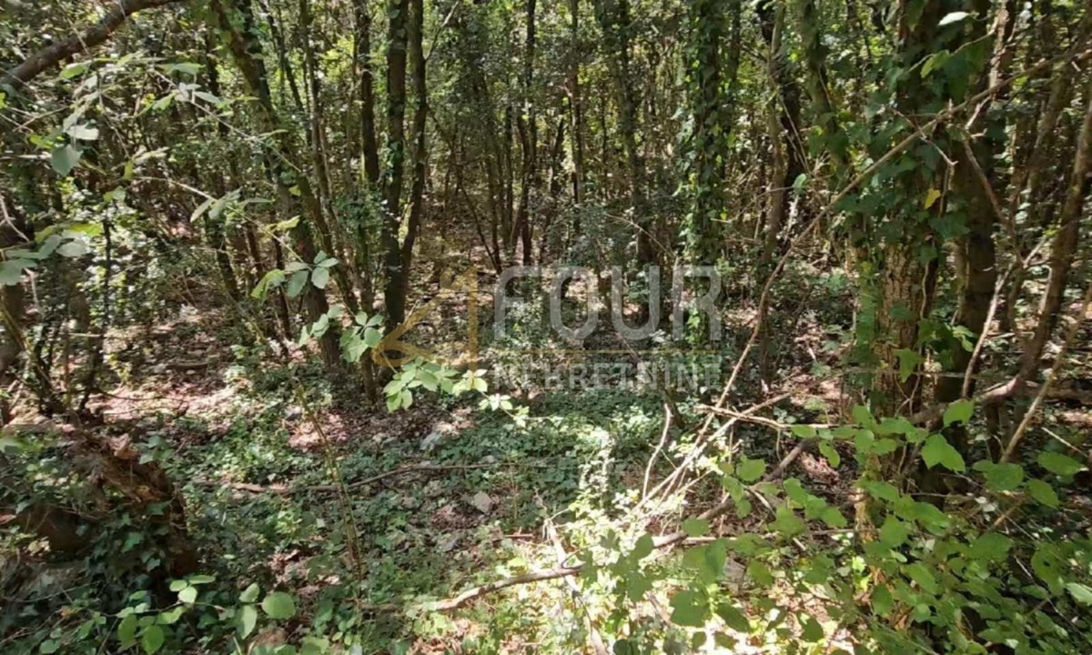 Terrain À vendre - Istarska Marčana - foto 2/2