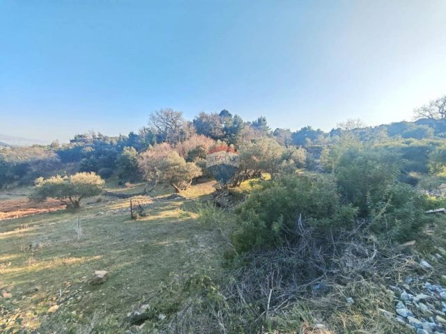 Land for sale 1815 m² – Rab
