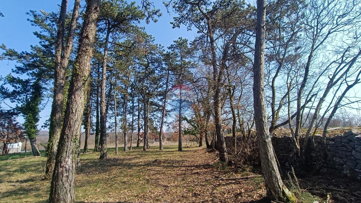 Pozemok Na predaj - Istarska žminj - foto 1/7