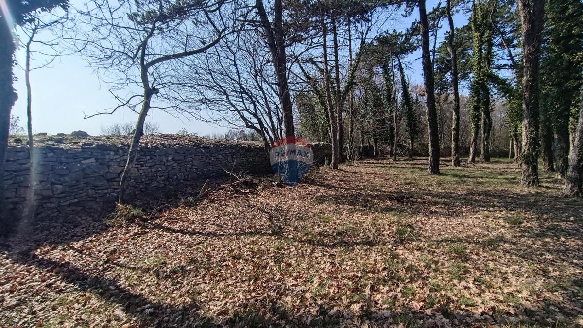 Pozemok Na predaj - Istarska žminj - foto 3/7