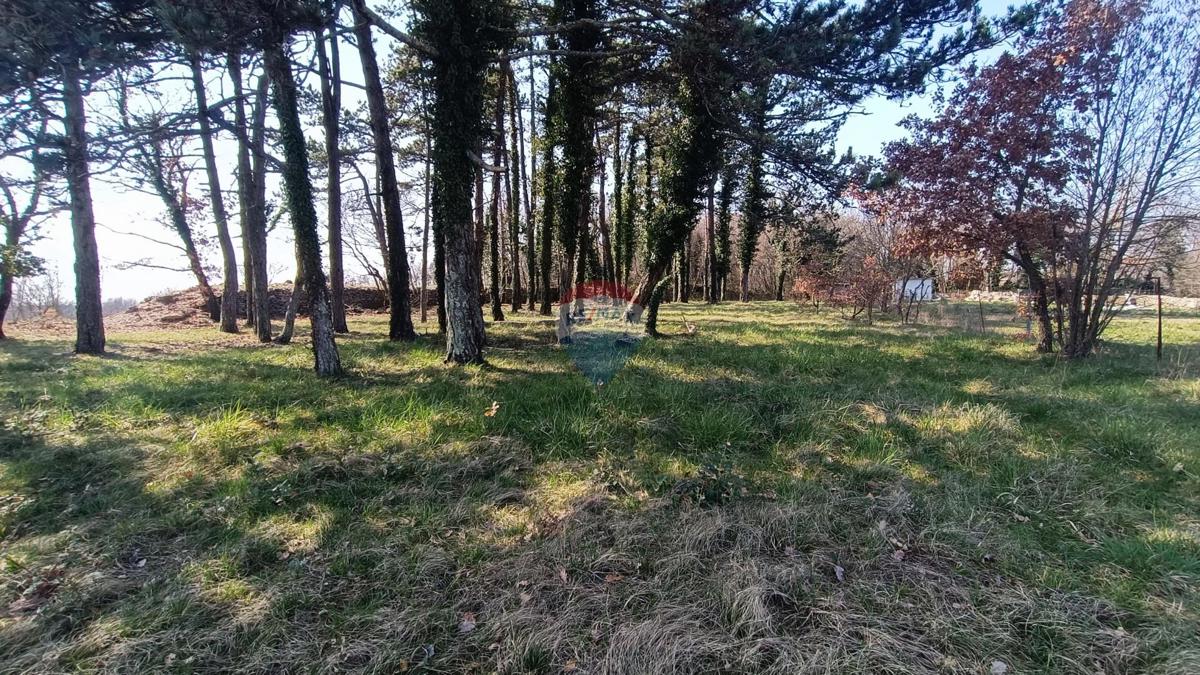 Pozemok Na predaj - Istarska žminj - foto 4/7
