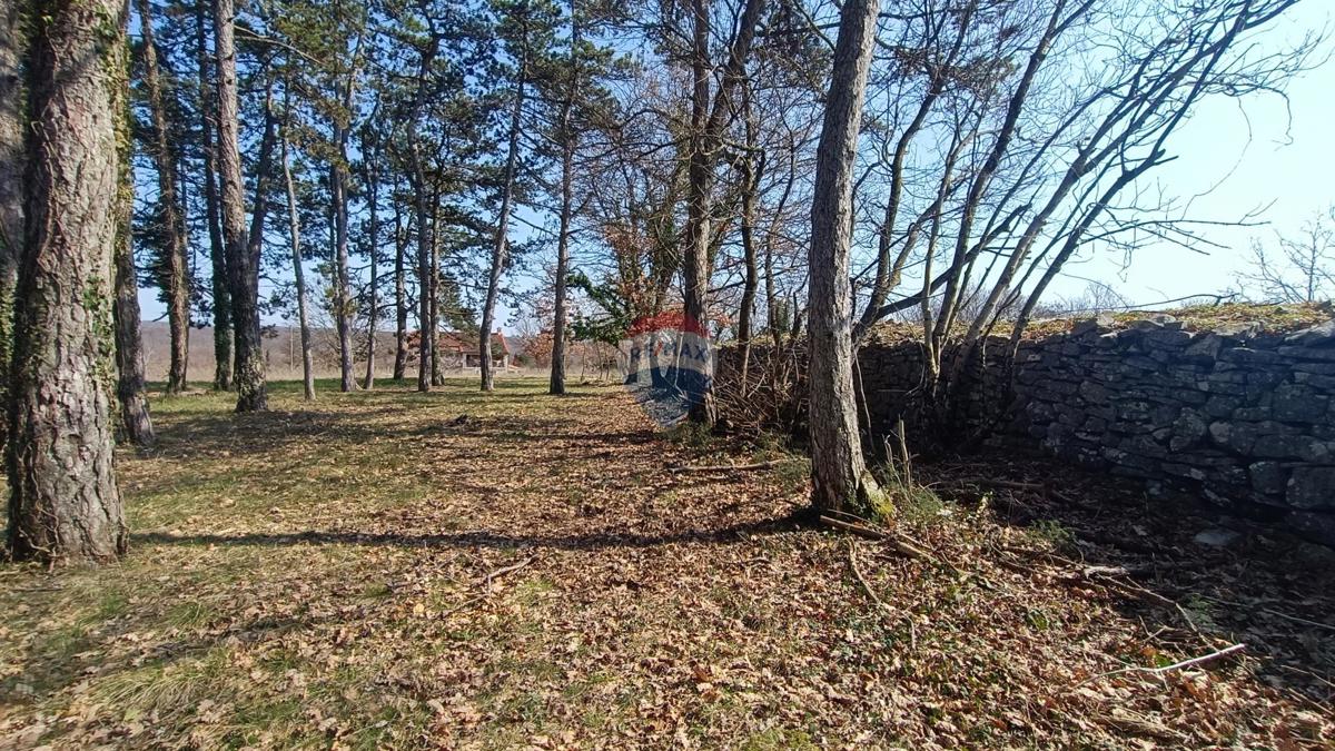Pozemok Na predaj - Istarska žminj - foto 5/7