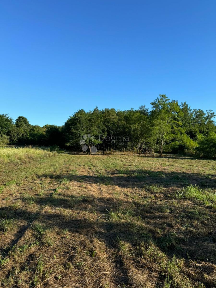 Land For sale - Istarska Umag - foto 1/2