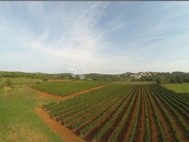 Terreno in vendita 8596 m² – Poreč