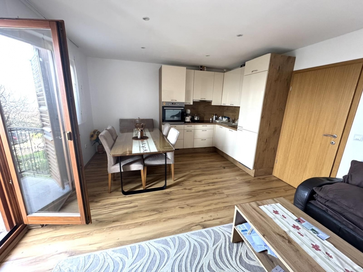 House For sale - ISTARSKA MEDULIN