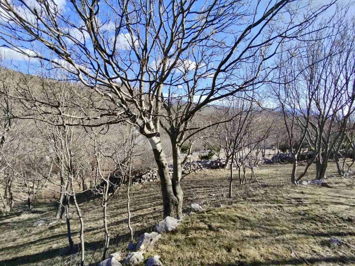 House For sale - Primorsko-goranska Novi Vinodolski - foto 4/7