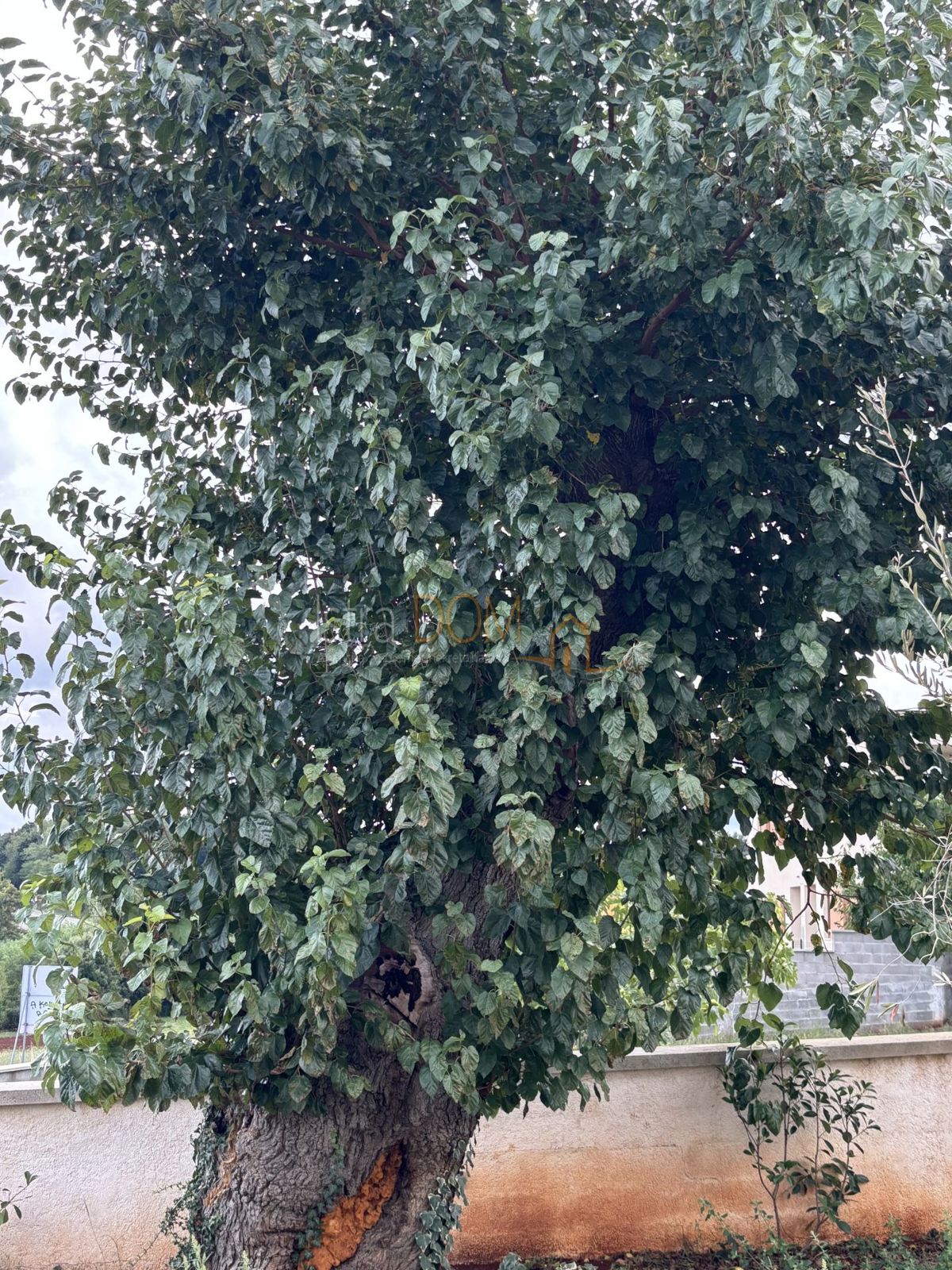 Kuća Na prodaju - ISTARSKA BARBAN