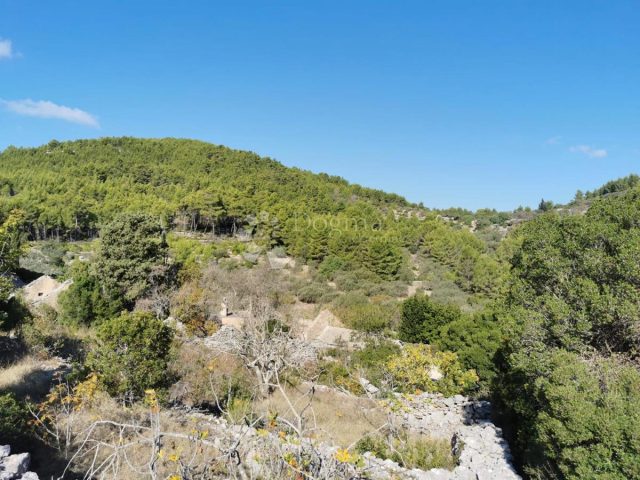 Pozemok na predaj 8000 m² – Korčula