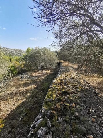 Parcela Naprodaj - Dubrovačko-neretvanska Korčula - foto 3/16