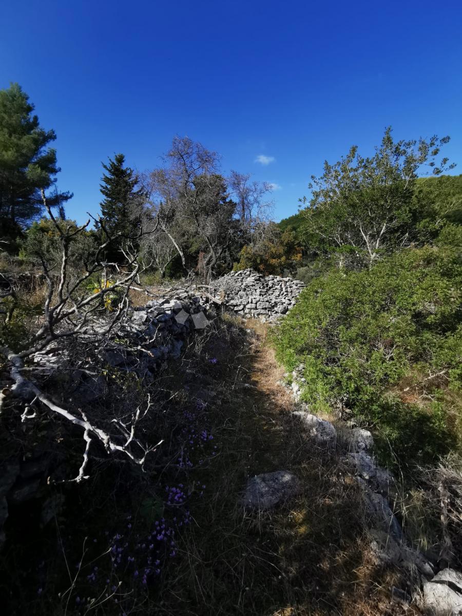 Pozemok Na predaj - DUBROVAČKO-NERETVANSKA KORČULA