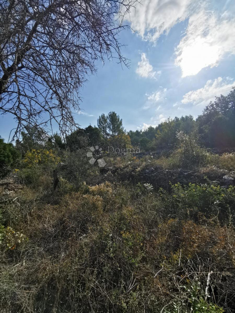 Pozemok Na predaj - DUBROVAČKO-NERETVANSKA KORČULA