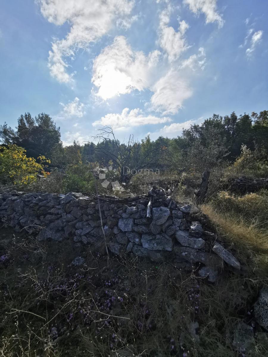 Pozemok Na predaj - DUBROVAČKO-NERETVANSKA KORČULA