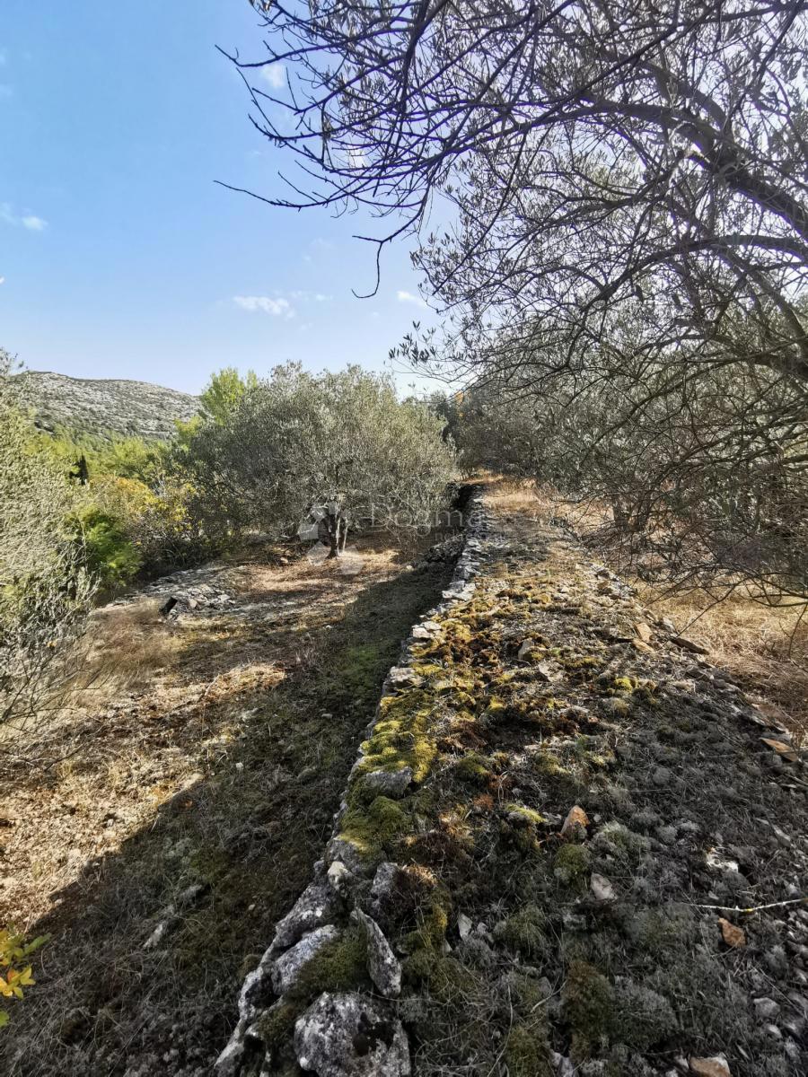 Pozemok Na predaj - DUBROVAČKO-NERETVANSKA KORČULA
