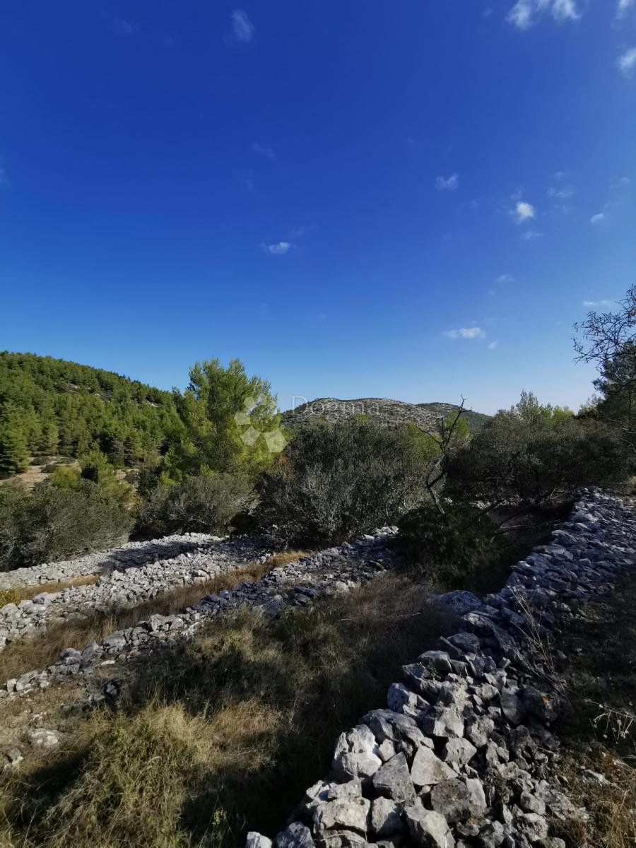 Pozemok Na predaj - DUBROVAČKO-NERETVANSKA KORČULA