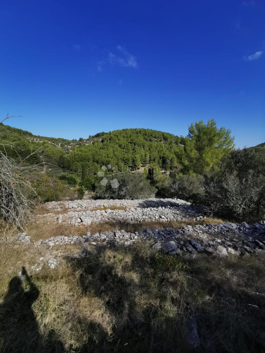 Pozemok Na predaj - DUBROVAČKO-NERETVANSKA KORČULA