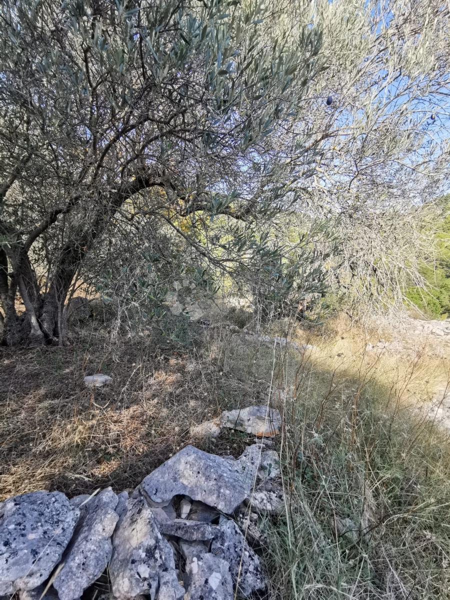 Pozemok Na predaj - DUBROVAČKO-NERETVANSKA KORČULA