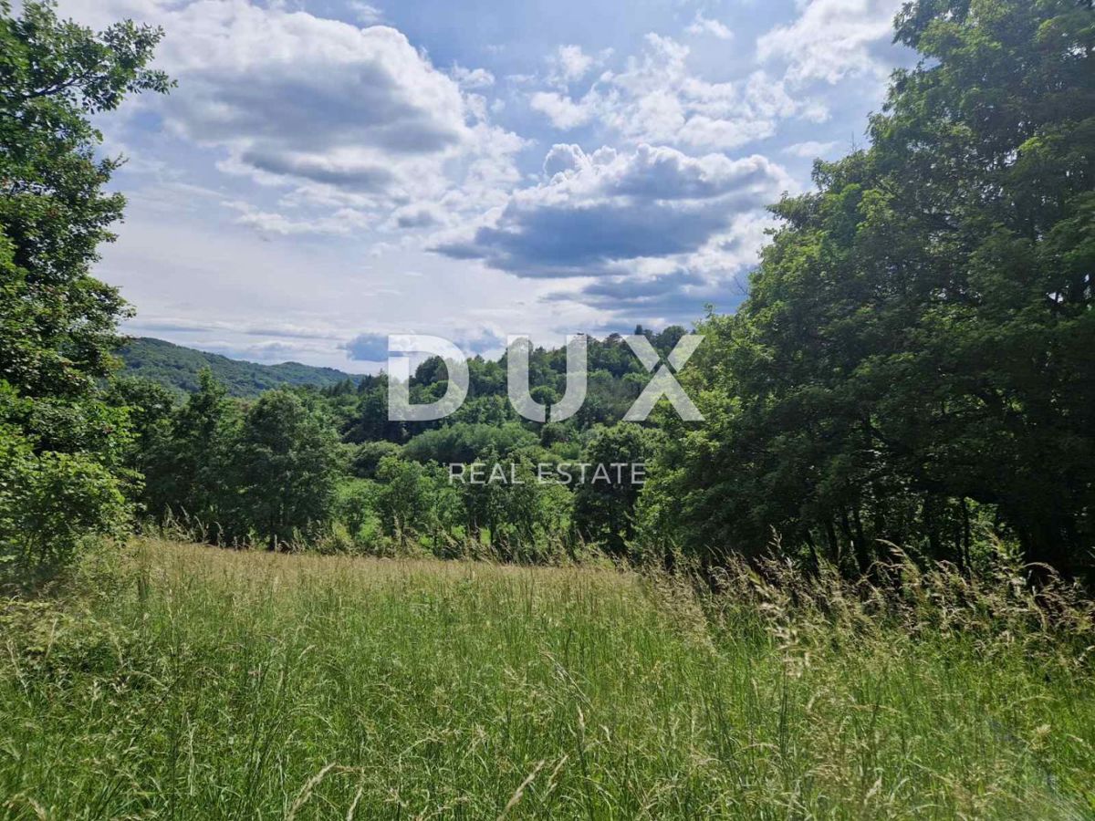 Land For sale - ISTARSKA CEROVLJE