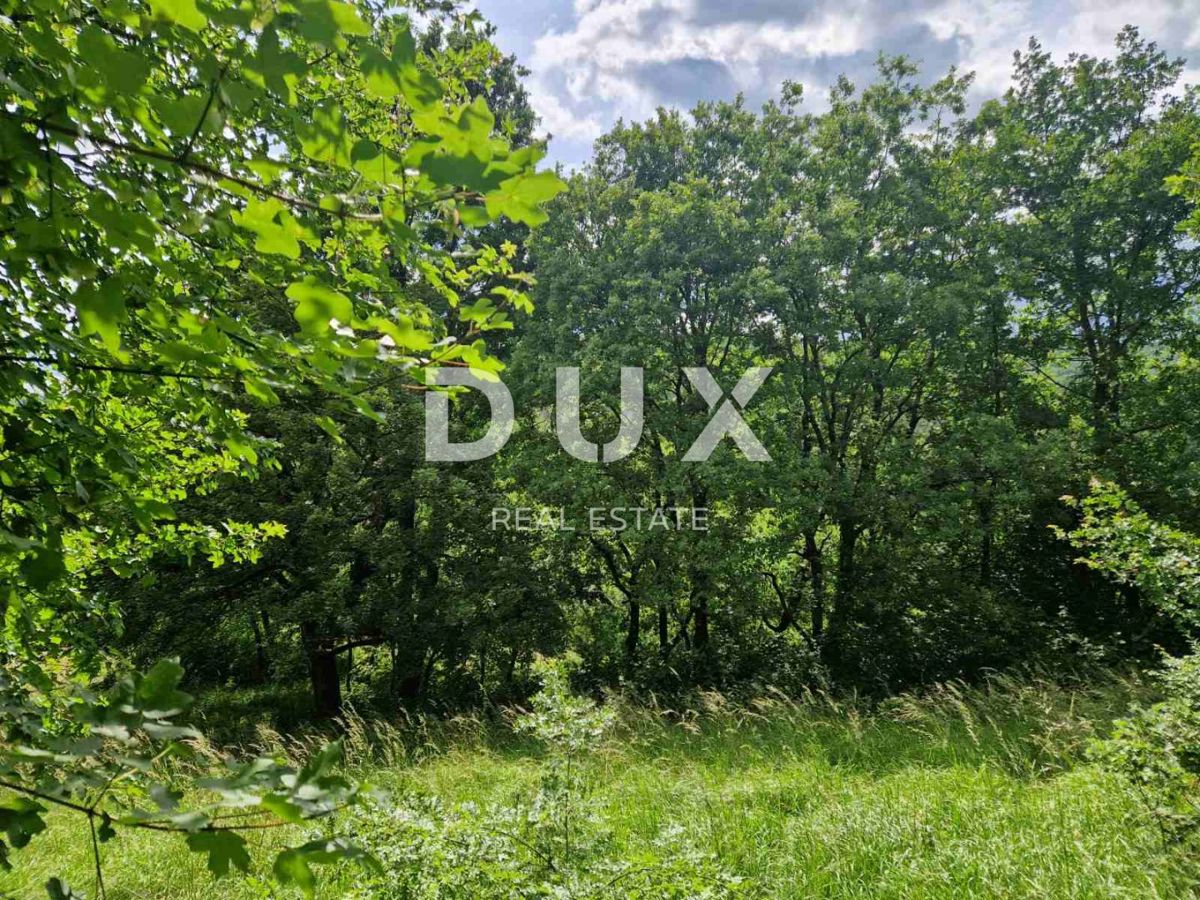 Land For sale - ISTARSKA CEROVLJE