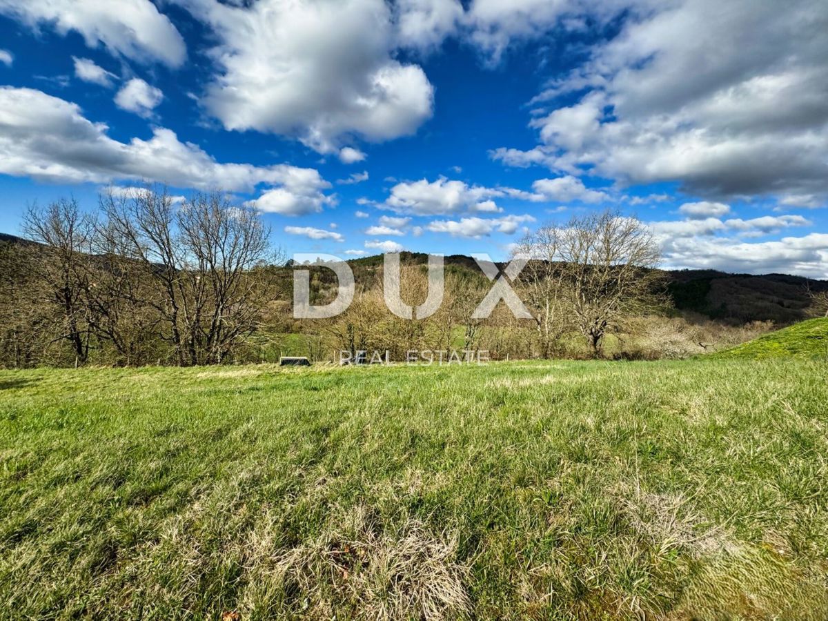 Land For sale - ISTARSKA CEROVLJE