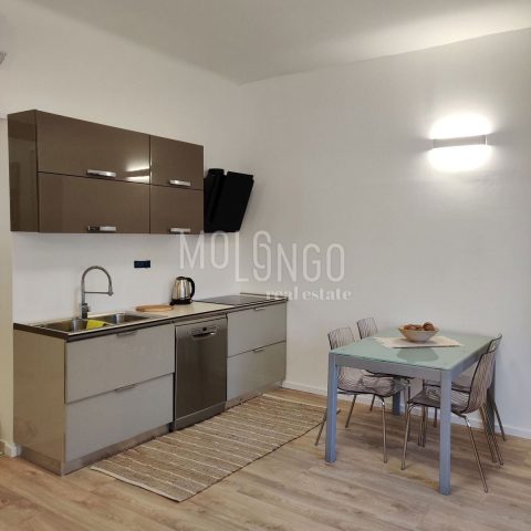 Appartamento Da affittare - Primorsko-goranska Rijeka - foto 4/9