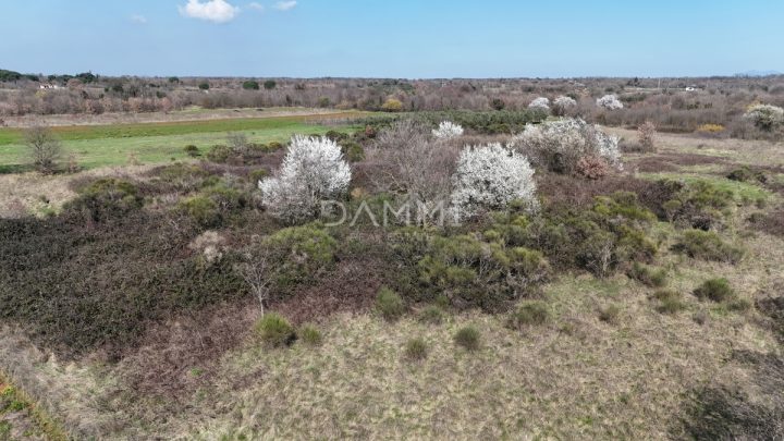 Land for sale 700 m² – Marčana