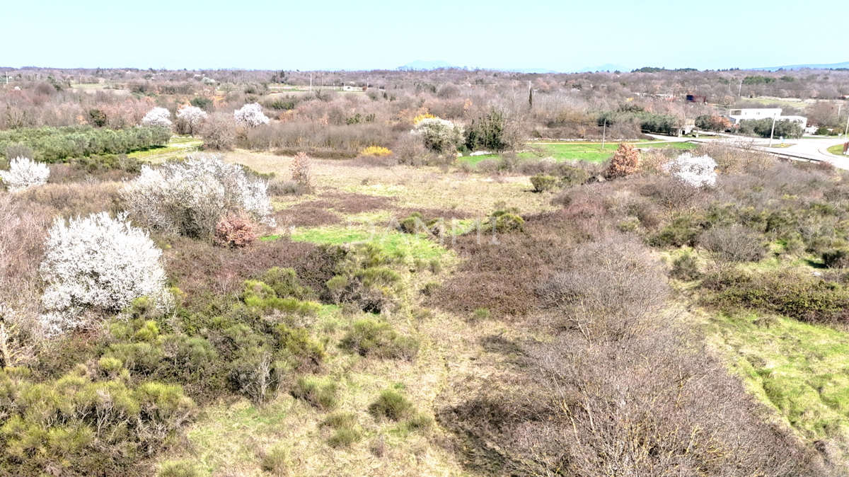 Land For sale - Istarska Marčana - foto 1/3