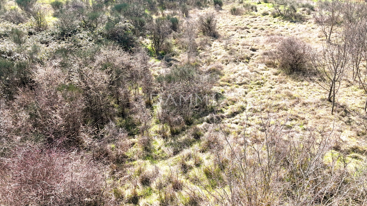 Land For sale - Istarska Marčana - foto 2/3