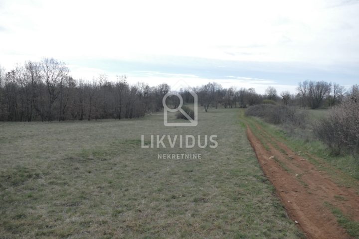 Zemljište Na prodaju - Istarska Svetvinčenat - foto 3/20