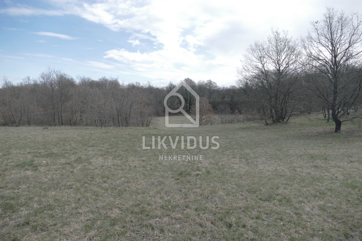 Terrain À vendre - Istarska Svetvinčenat - foto 2/20