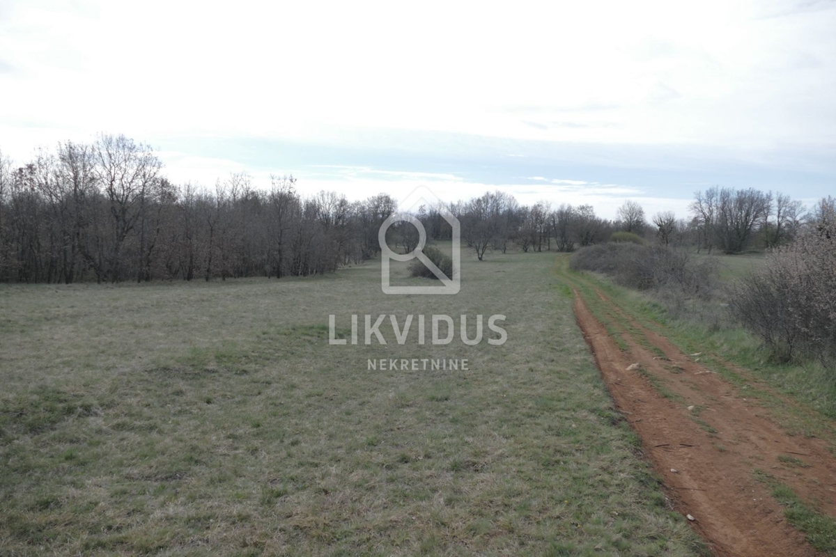 Terrain À vendre - Istarska Svetvinčenat - foto 3/20
